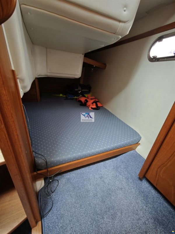 Nimbus 310 Coupe