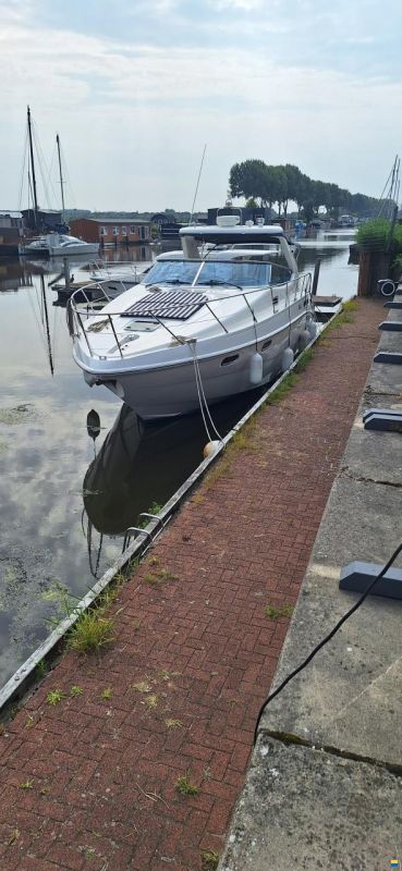 Sealine S41