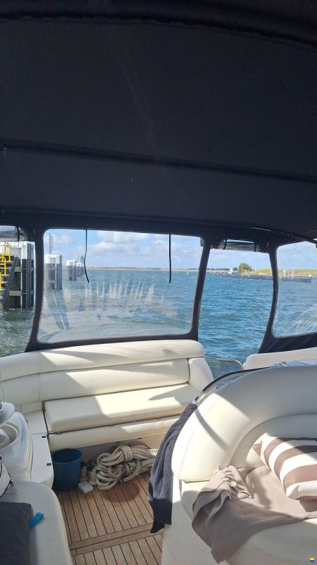 Sealine S41
