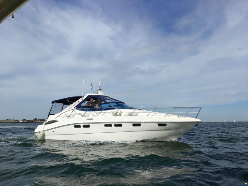 Sealine S41