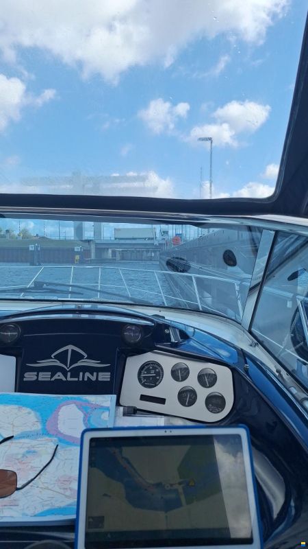 Sealine S41