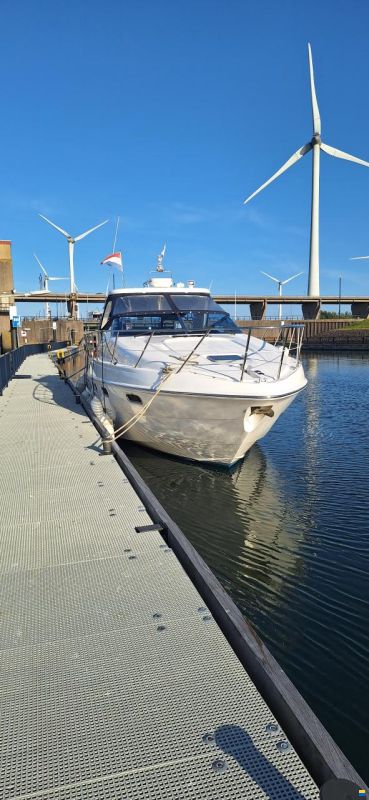 Sealine S41