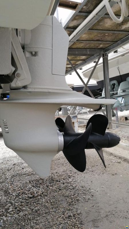 Cranchi Smeraldo 36