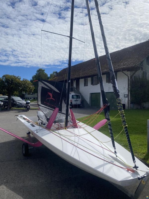 BirdyFish Race Version