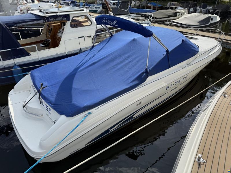 Sea Ray 260 Overnighter Signature