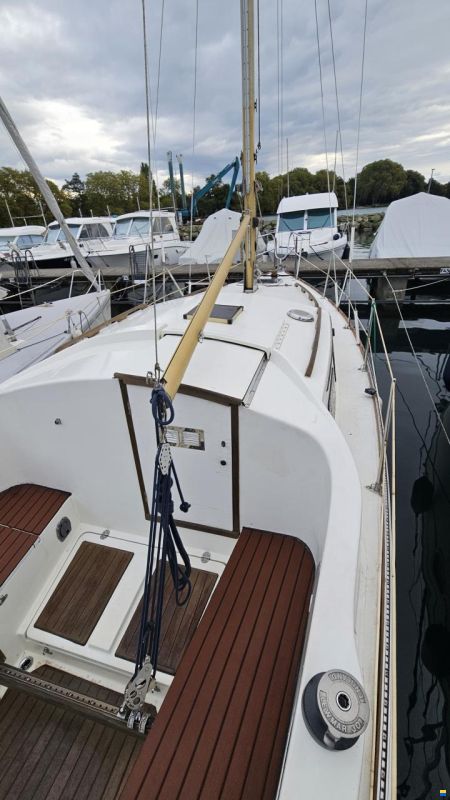 de Kloet Fellowship 28