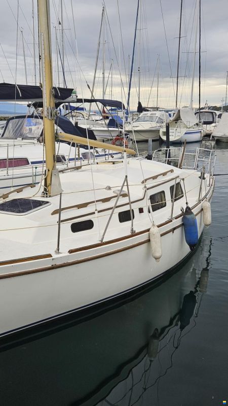de Kloet Fellowship 28