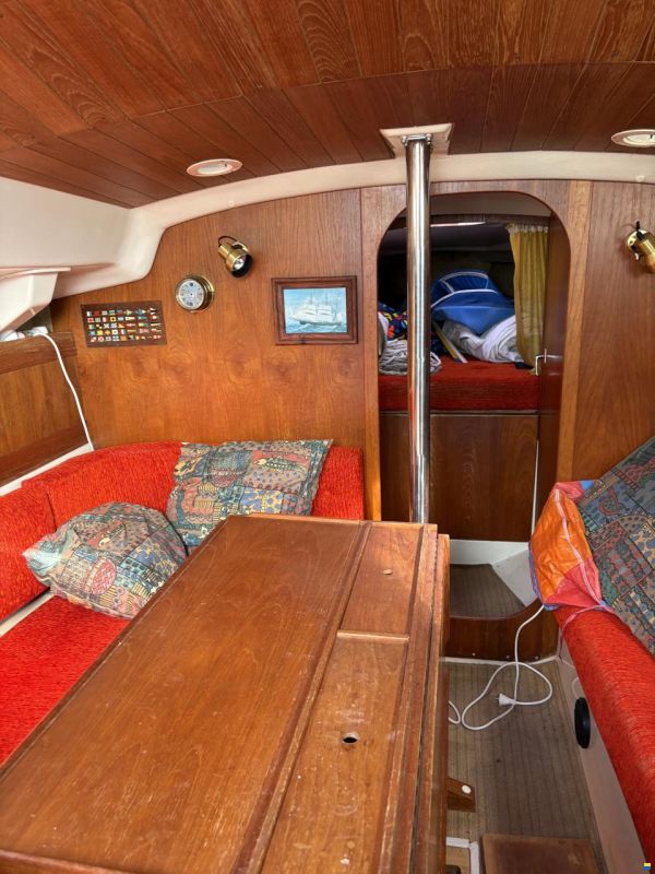 Albin Scampi 30