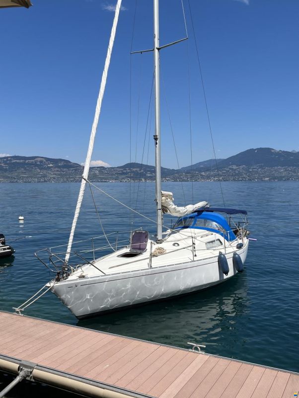 Albin Scampi 30