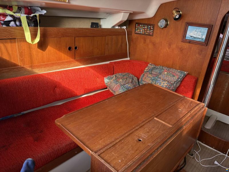 Albin Scampi 30