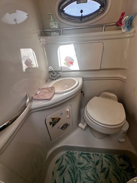 Sea Ray SUNDANCER 315