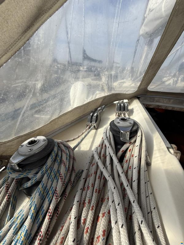 Bianca 420