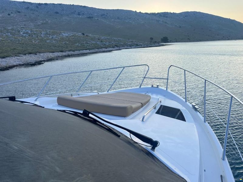 Sealine T50