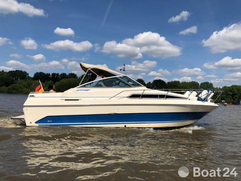 Sea Ray Sundancer 250