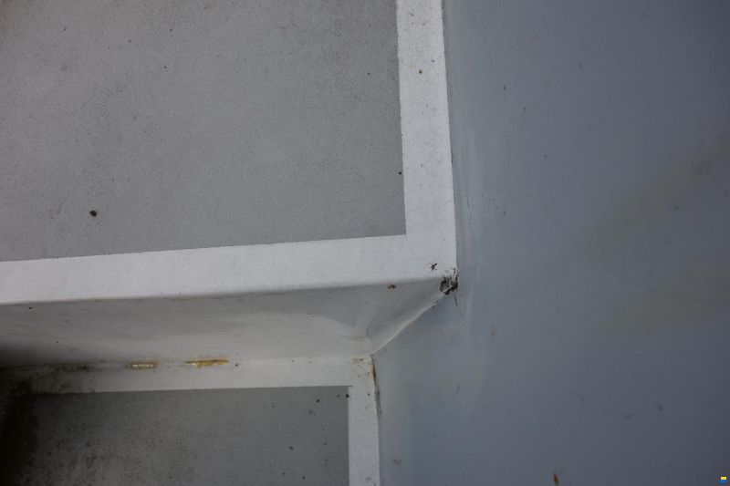 Lehmann Boote Lehmann1200