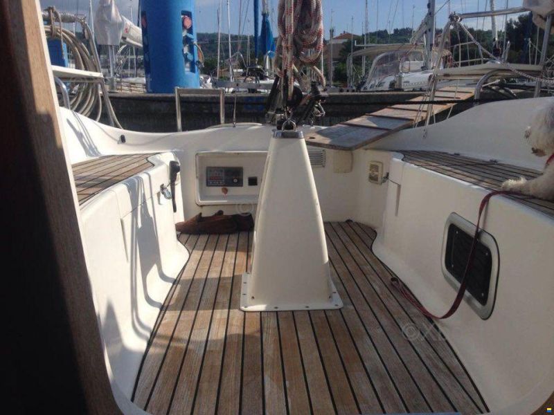 Delphia 29