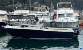 Trophy Barca Trophy Grady White Pro 25