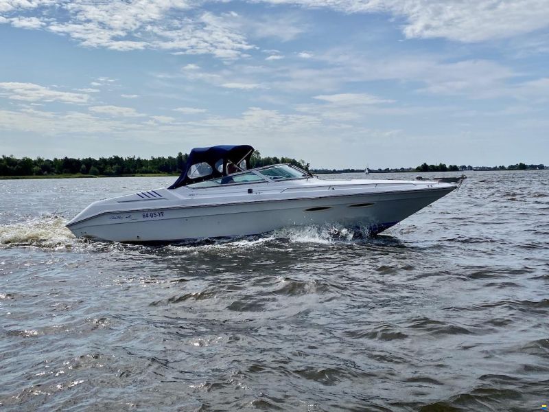 Sea Ray 260