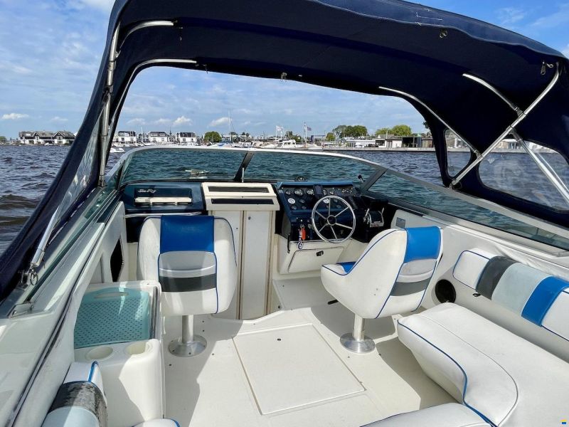Sea Ray 260