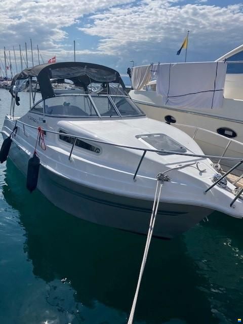 Drago 22OB