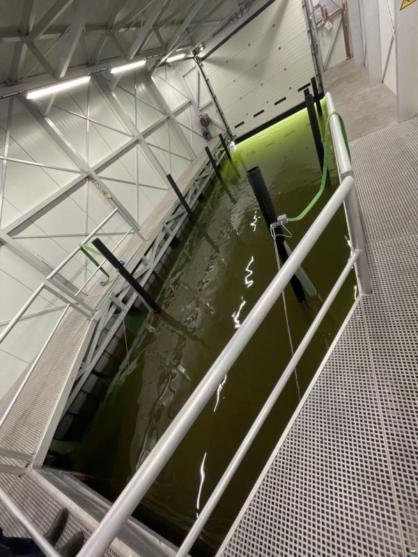 Comitti Venezia 31