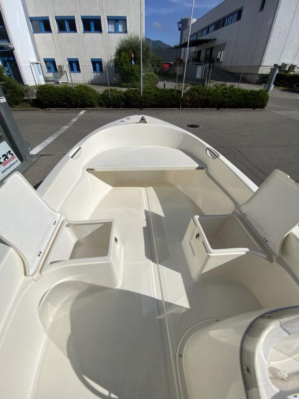 Quicksilver 500 Fish