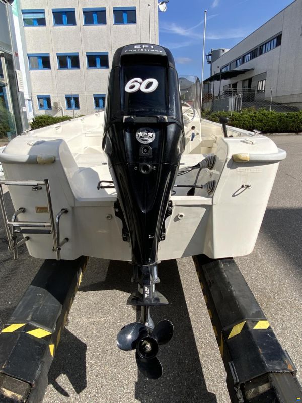 Quicksilver 500 Fish