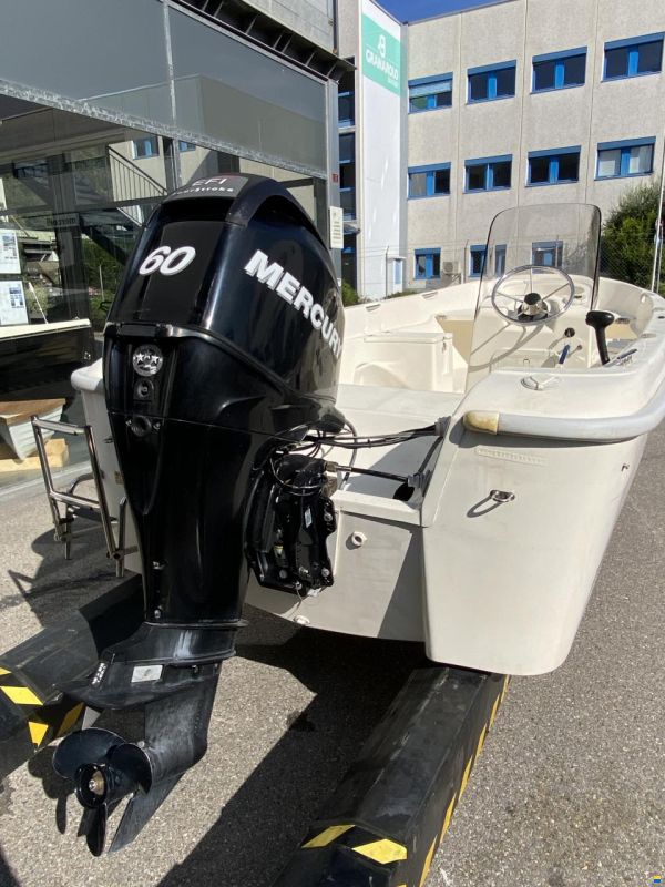 Quicksilver 500 Fish