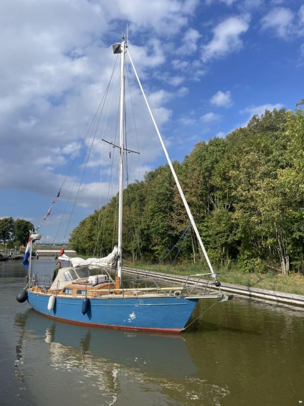 Koopmans Roeder