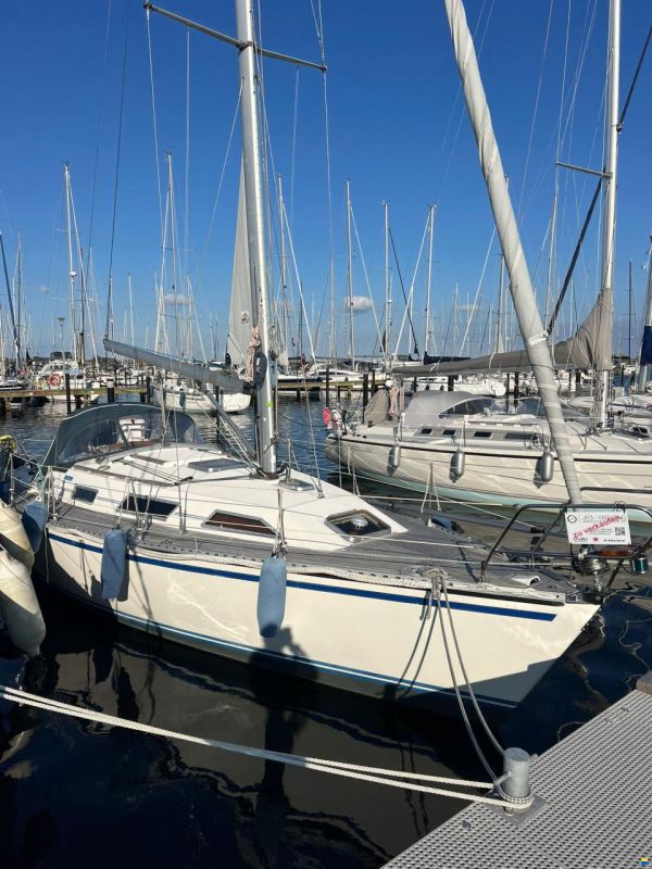 Gibert Marine Gib Sea 35 Master