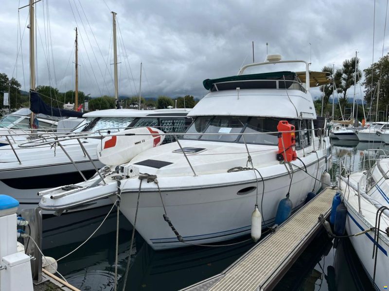 Carver 33