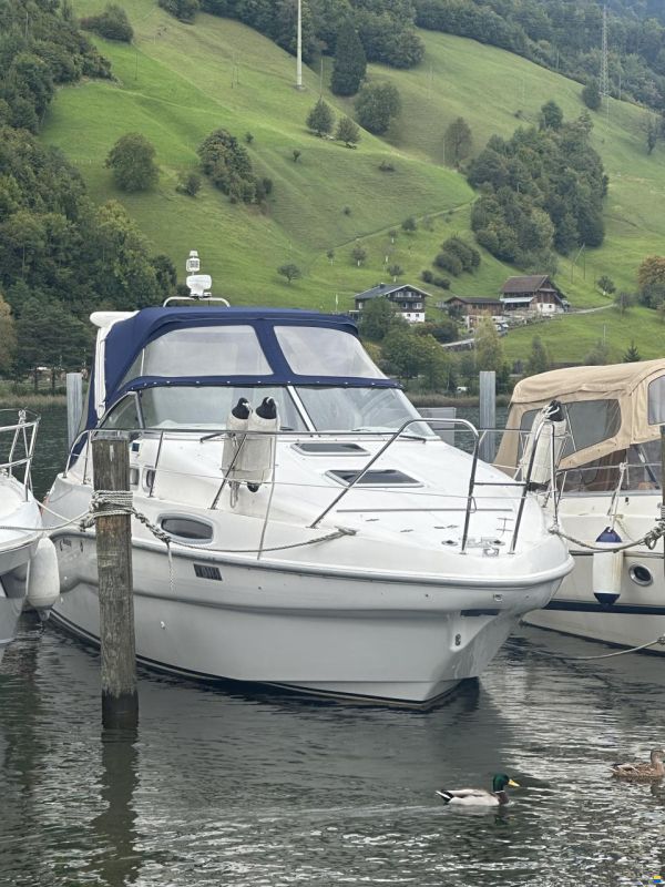 Sealine S 28
