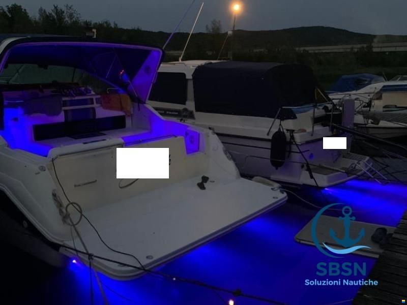 Sea Ray 310 Sundancer