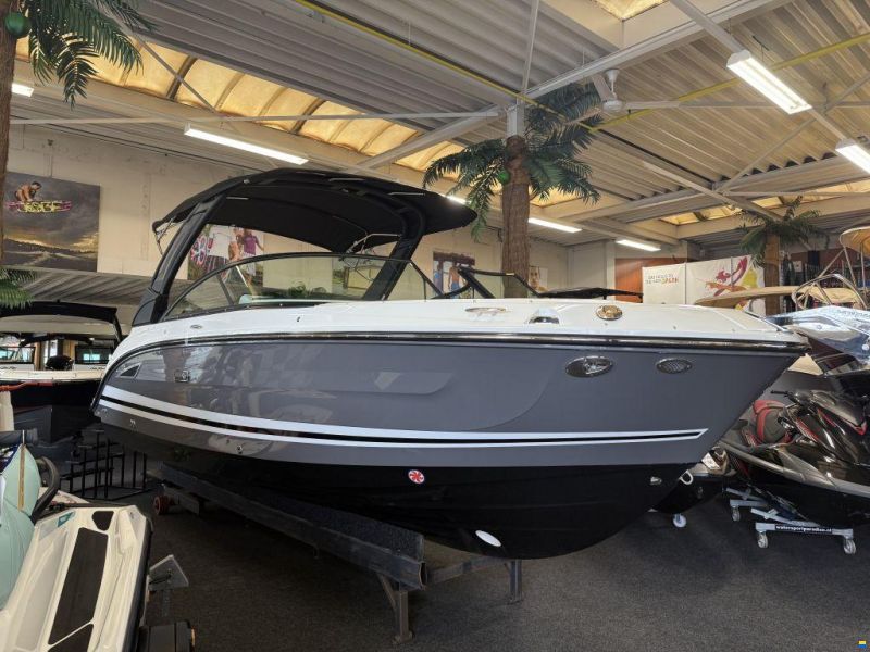 Sea Ray SDX 250 Outboard