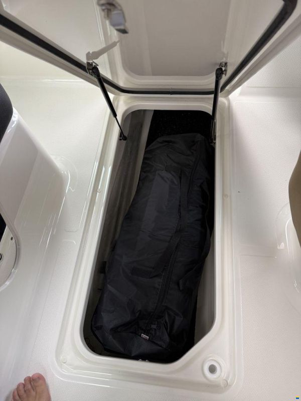 Sea Ray SDX 250 Outboard