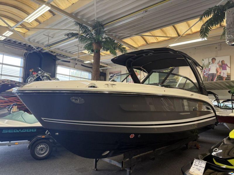 Sea Ray SDX 250 Outboard