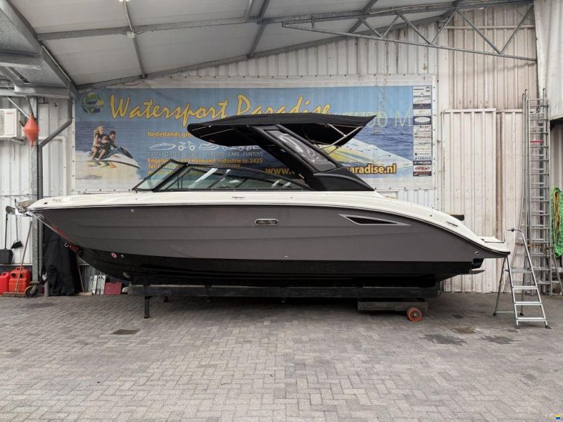 Sea Ray SDX 250 Outboard