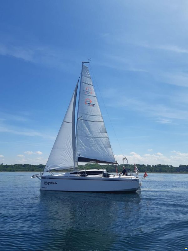 Northman MAXUS 24 EVO