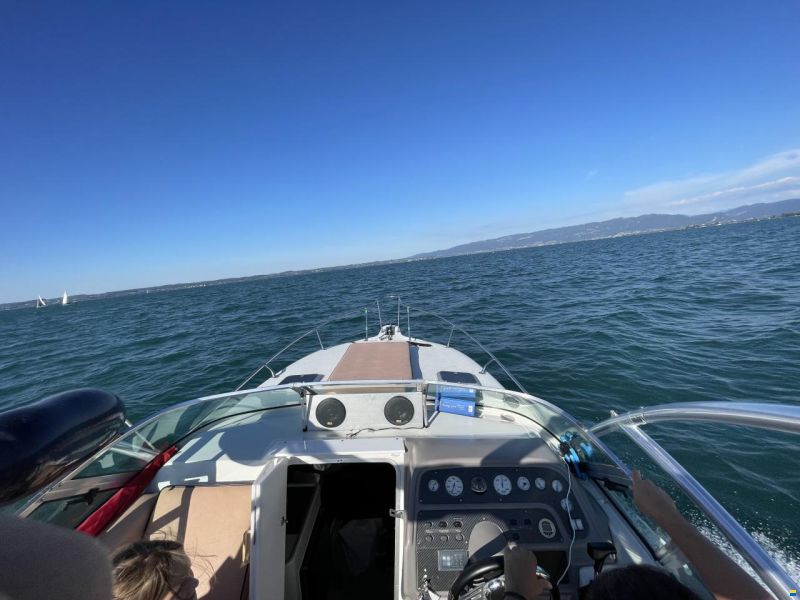 Rinker Fiesta VEE 260