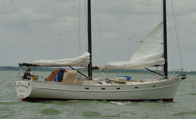 Freedom 44