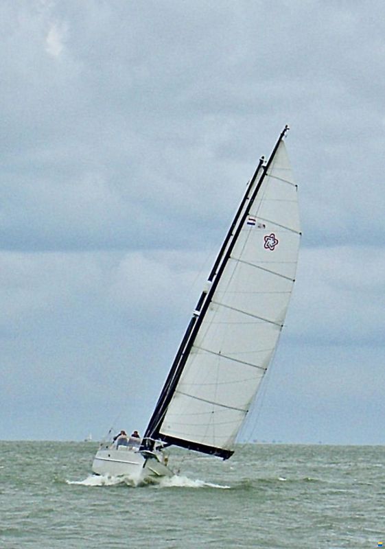 Freedom 44