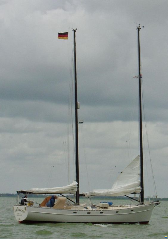 Freedom 44