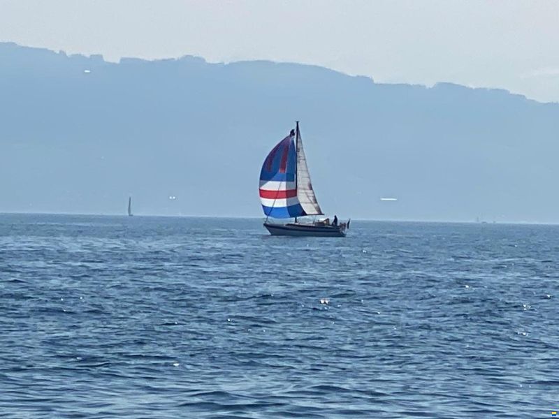 Dehler Optima 98