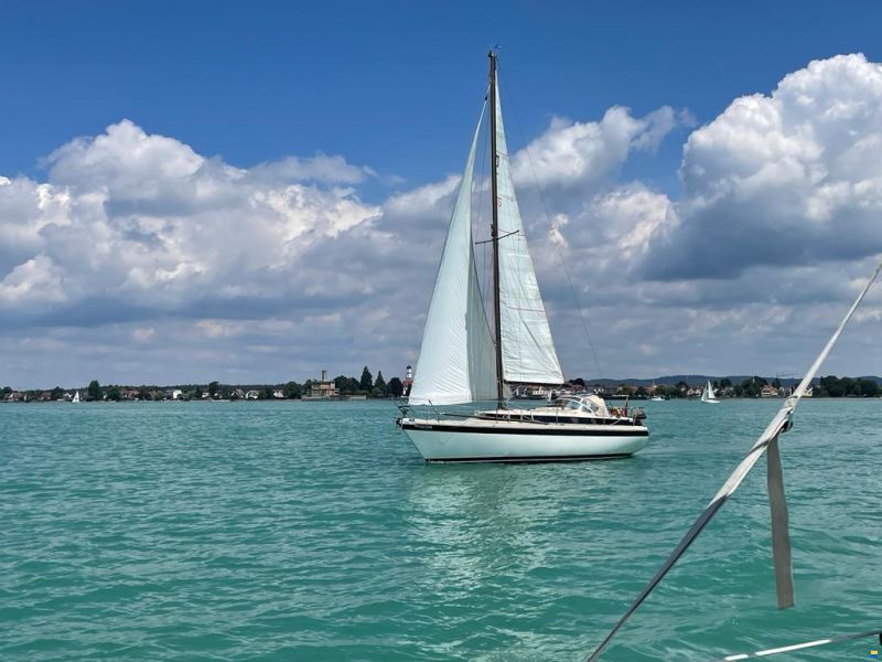 Dehler Optima 98