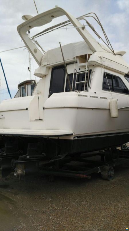 Bayliner Ciera 3285
