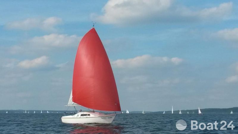 Seal22 / John Baker Ltd.