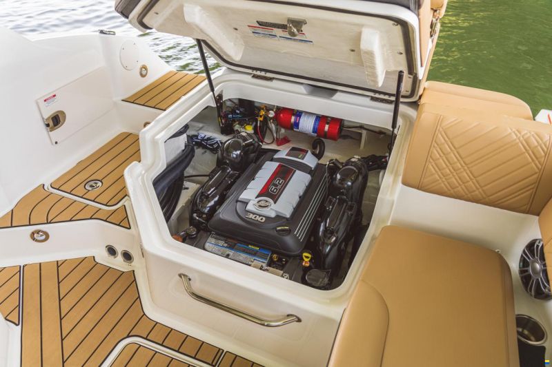 Sea Ray SDX230E & Trailer