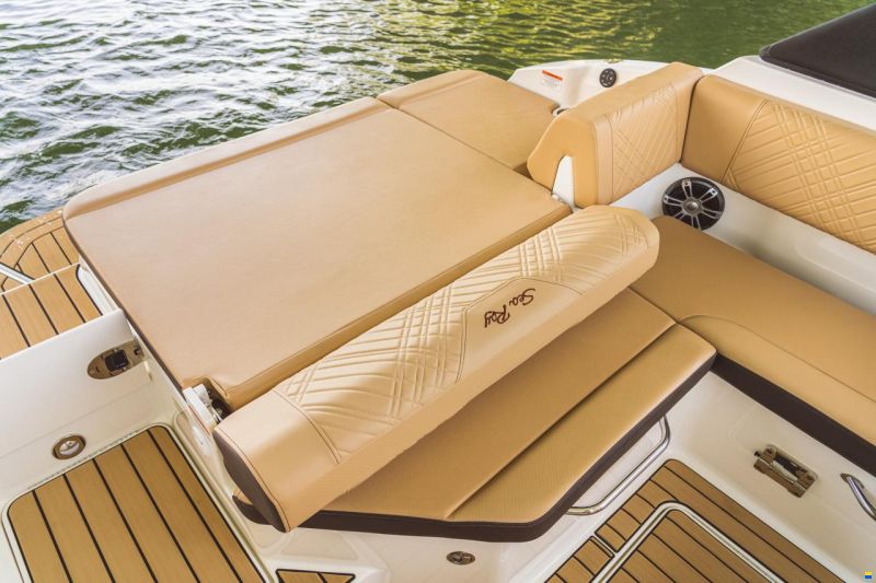 Sea Ray SDX230E & Trailer