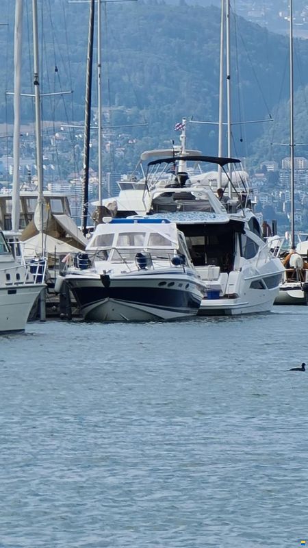 Sunseeker Portofino 31