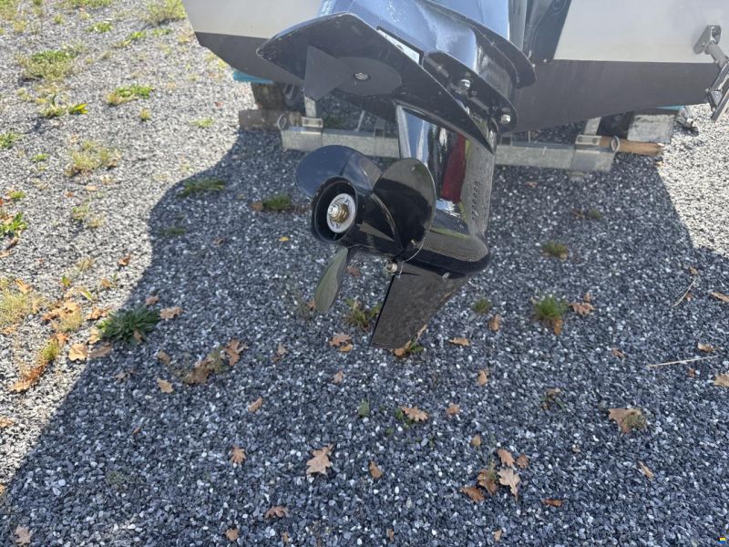 Black Pepper Tender 17